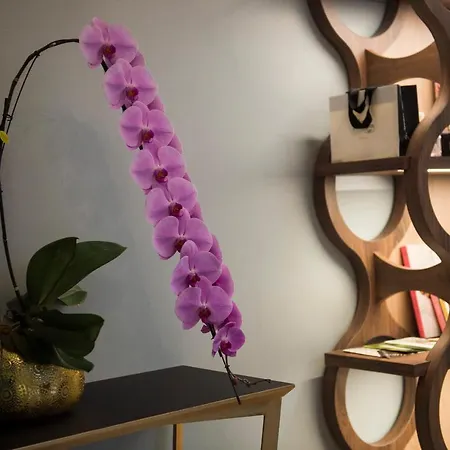 Mercure Paris Longchamp 4* Suresnes