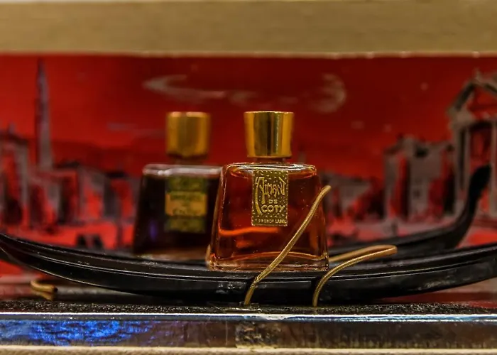 アスター シュレンヌ