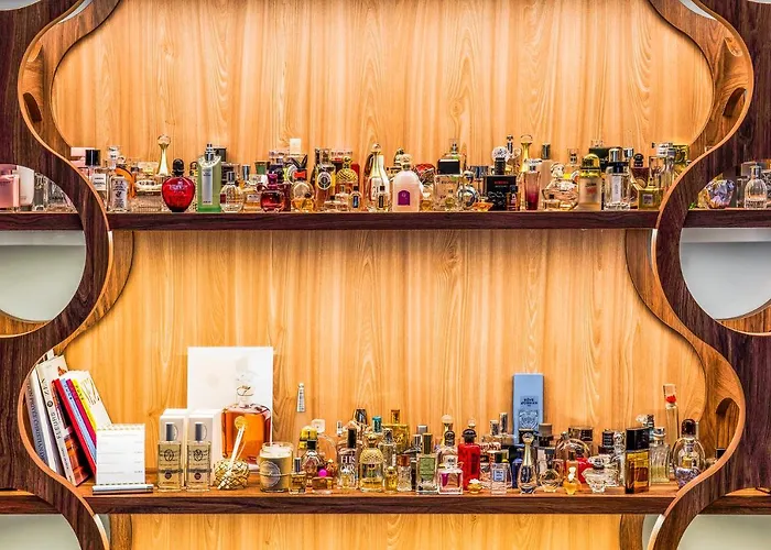 アスター シュレンヌ