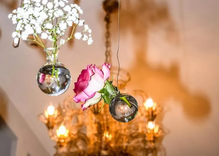 アスター 4* シュレンヌ